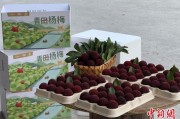 搬家公司高速赋能产业升级：一条“杨梅路”的致富密码