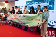 搬家公司中国彩绘熊猫艺术国际巡展东京站开幕